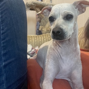 Fundraising Page: Aja davis-spor